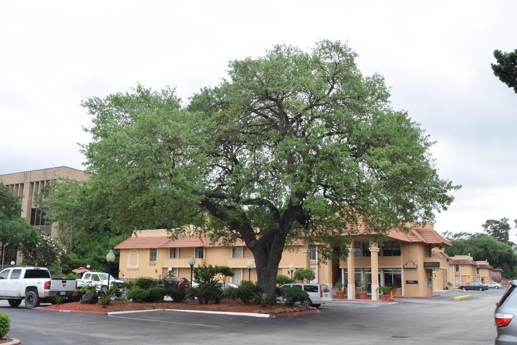 Memorial Inn And Suites Houston Bagian luar foto